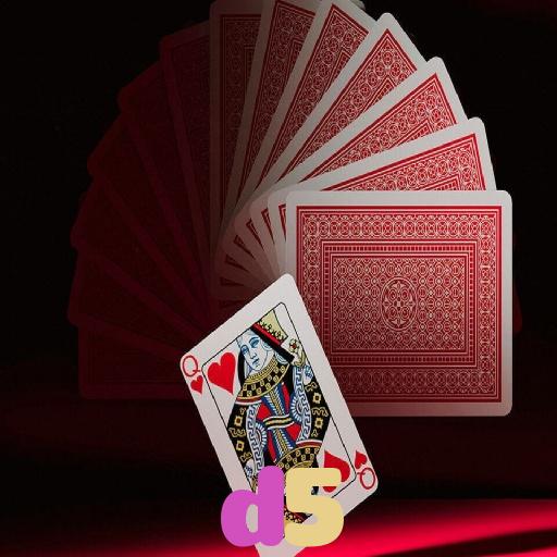 Experiência VIP no Cassino do d5